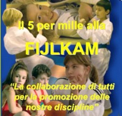 5 per mille 2011